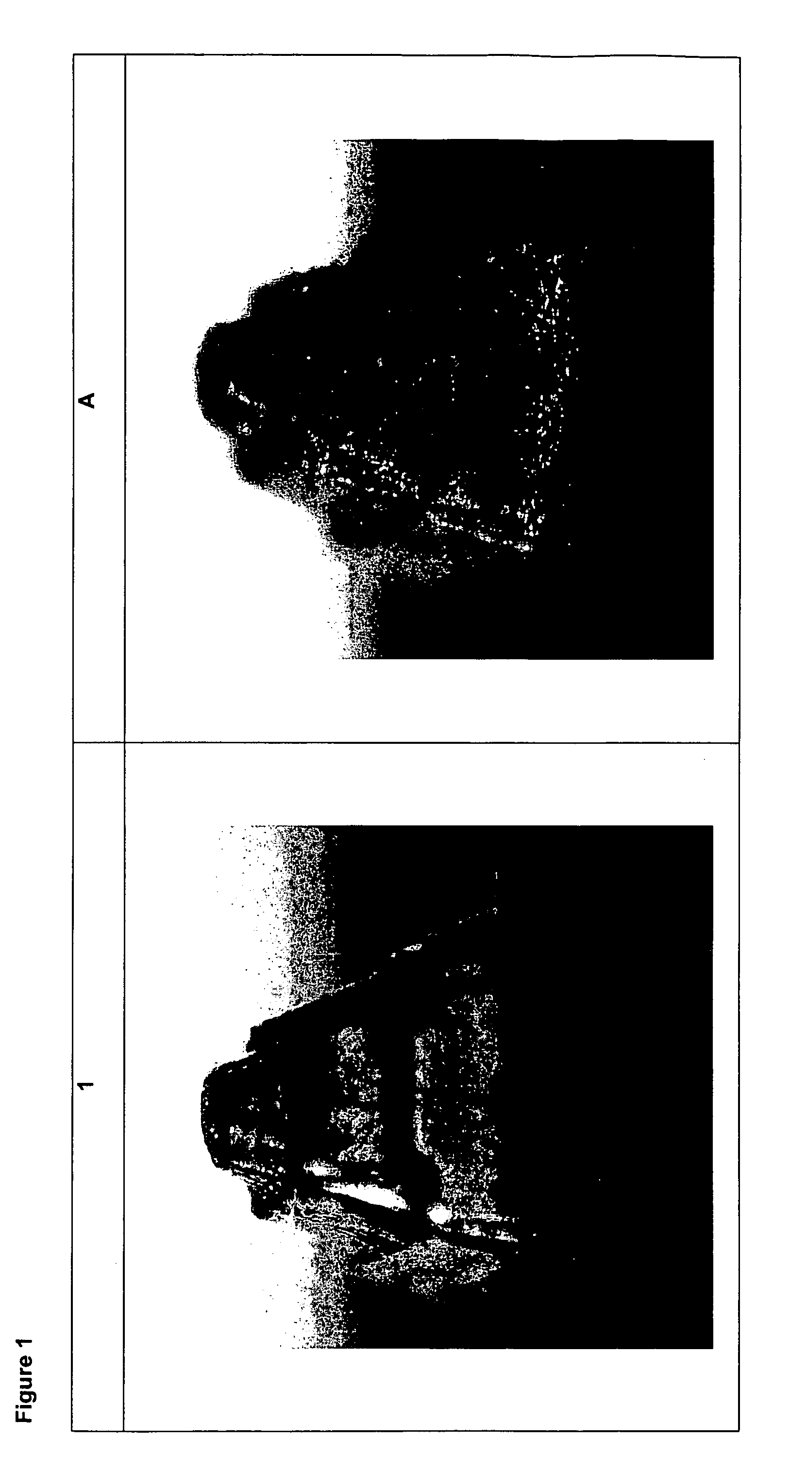 Laser-engravable flexographic printing element containing a conductive carbon black and method for production of flexographic printing forms