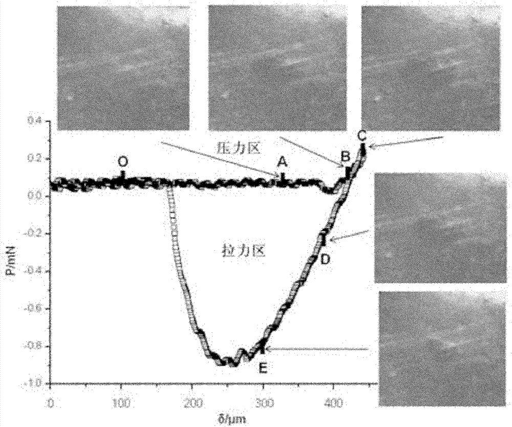 Method for measuring surface adhesive capacity and elastic modulus of soft material