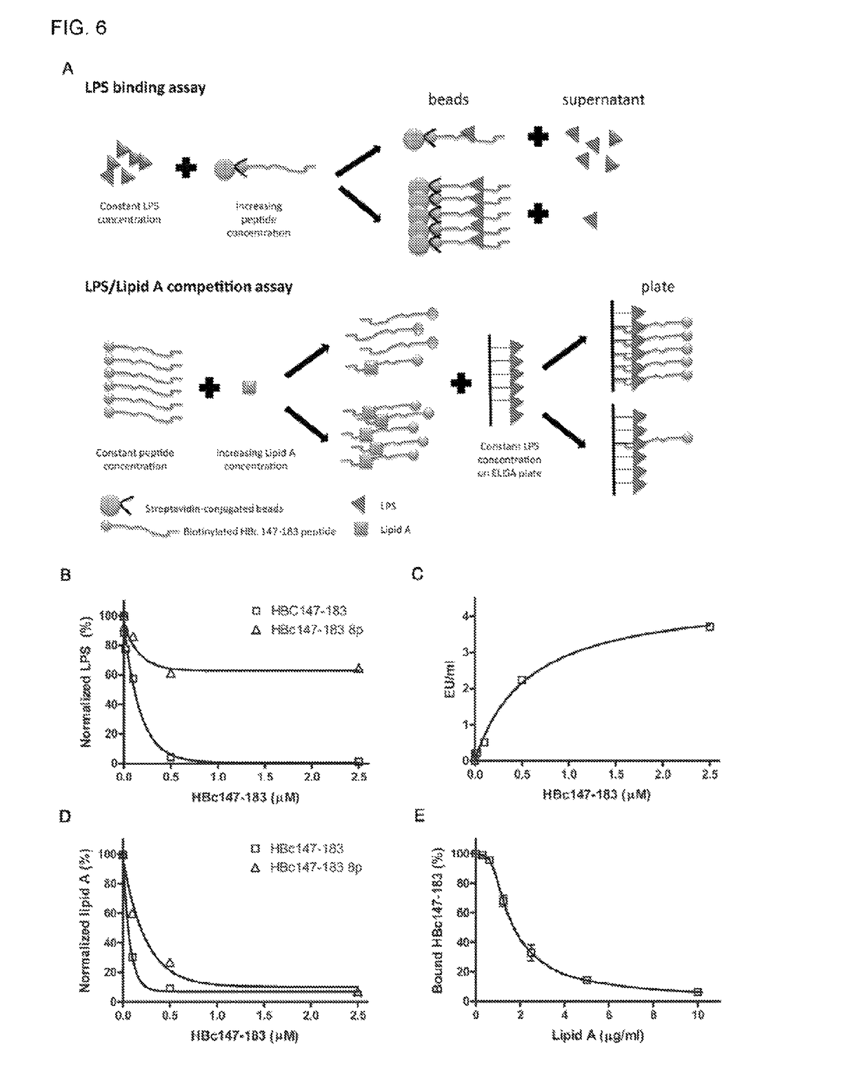 Antimicrobial peptides derived from hepatitis B virus core protein arginine-rich domain