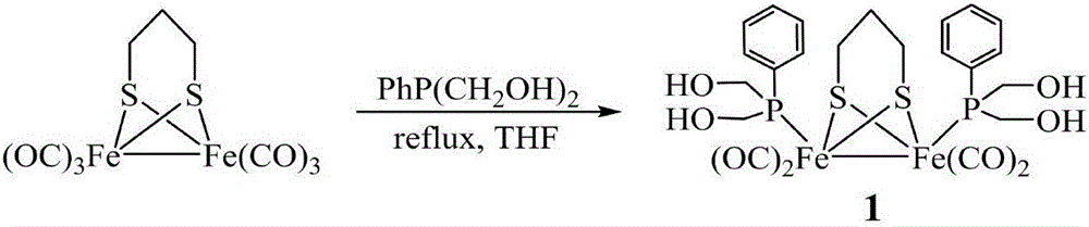 Fe-Fe hydrogenase model containing functionalized phosphine ligand and preparation method thereof