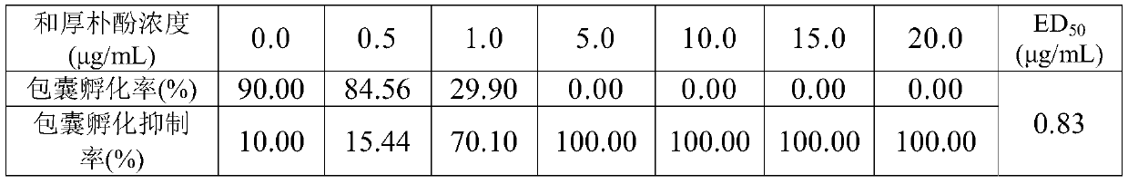 Application of honokiol in the preparation of drugs for inhibiting and killing fish ectoparasitic ciliates