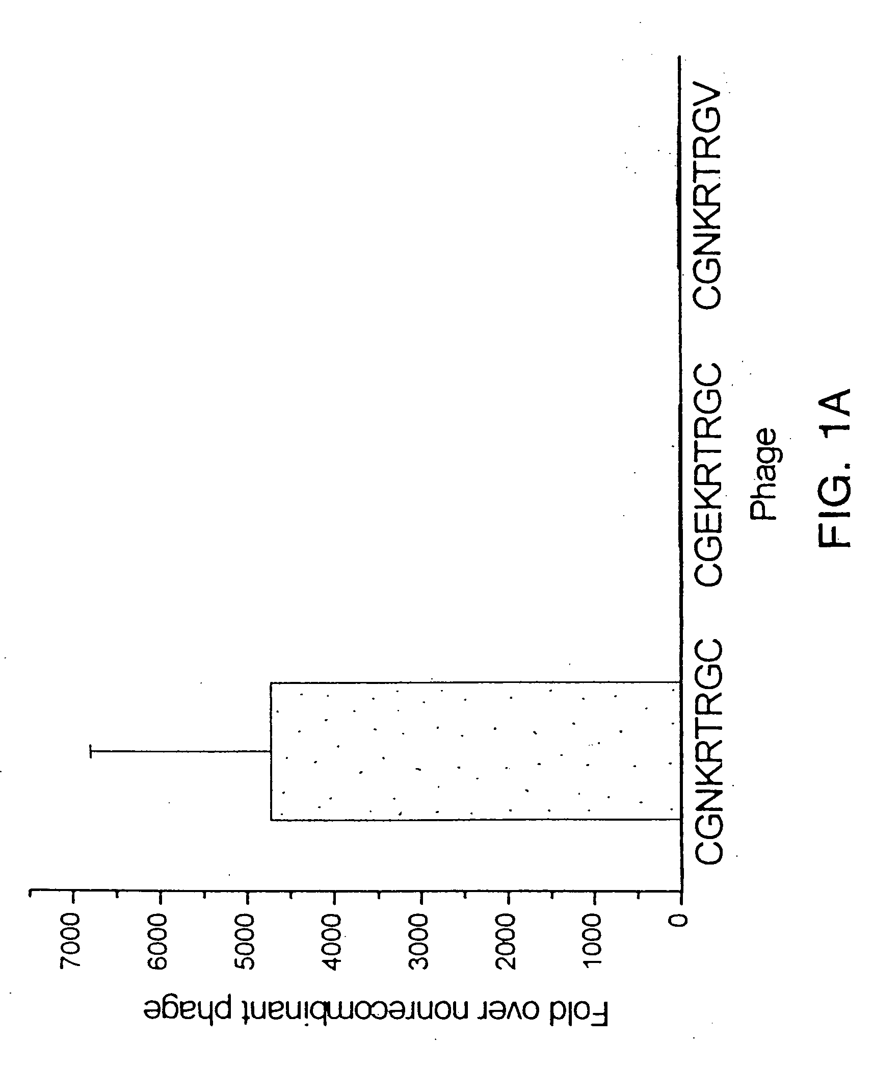 Peptides that home to tumor lymphatic vasculature and methods of using same
