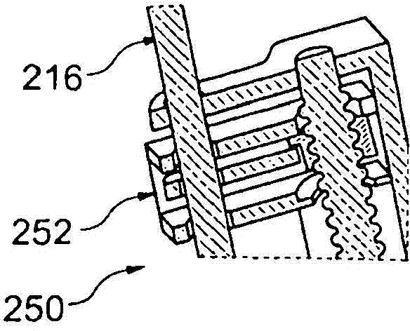 Assembly with a seat belt height adjuster and a seat belt presenter