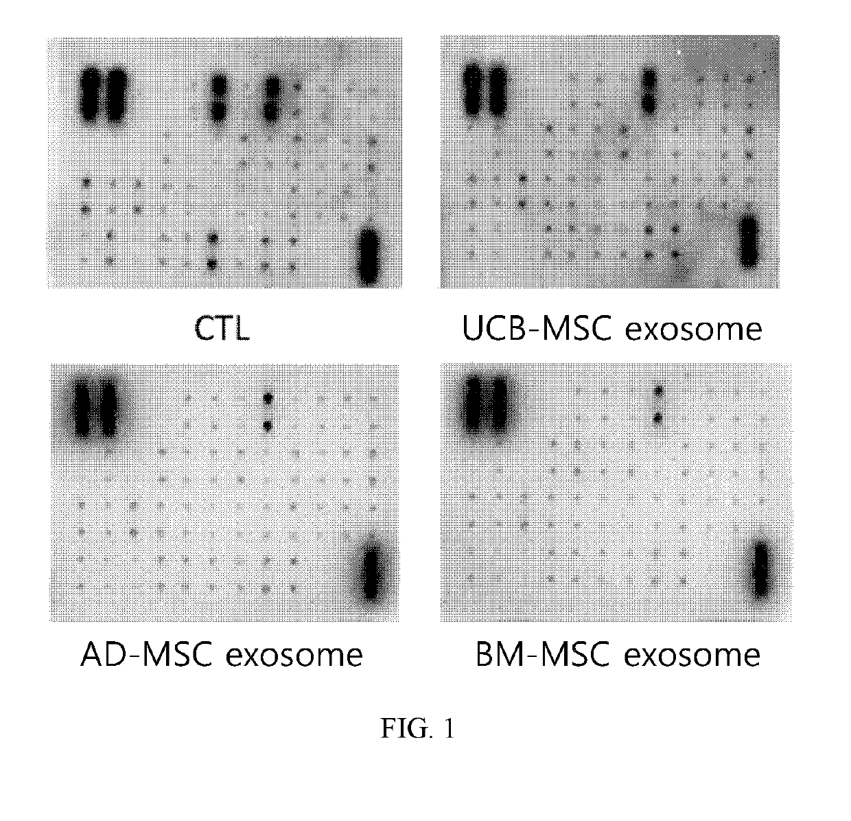 Stem Cell-Derived Exosomes Containing a High Amount of Growth Factors