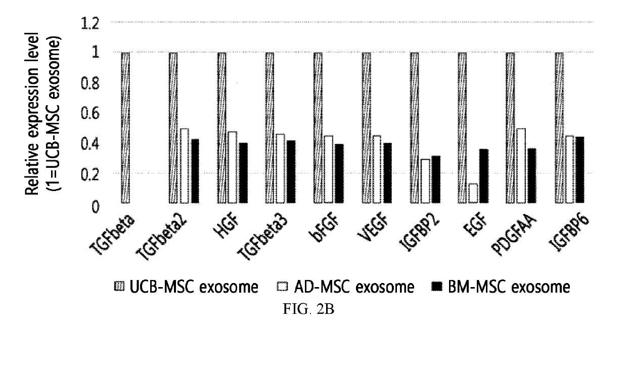 Stem Cell-Derived Exosomes Containing a High Amount of Growth Factors