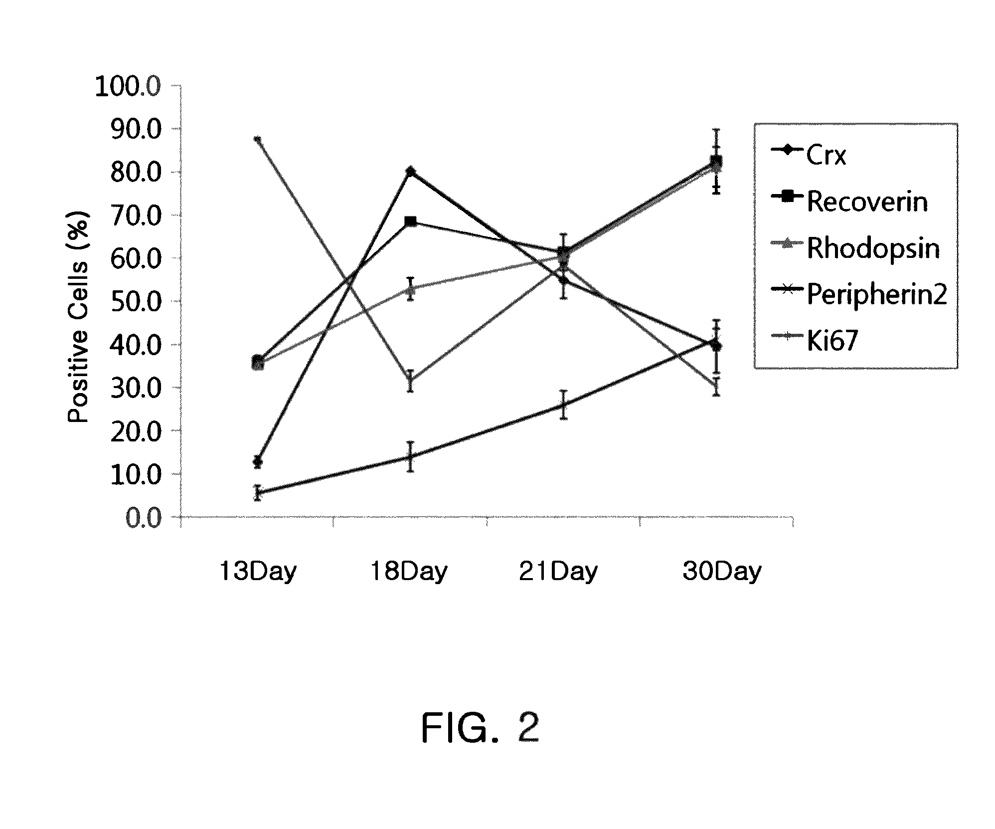 Compositions for inducing differentiation into retinal cells from retinal progenitor cells or inducing proliferation of retinal cells comprising Wnt signaling pathway activators