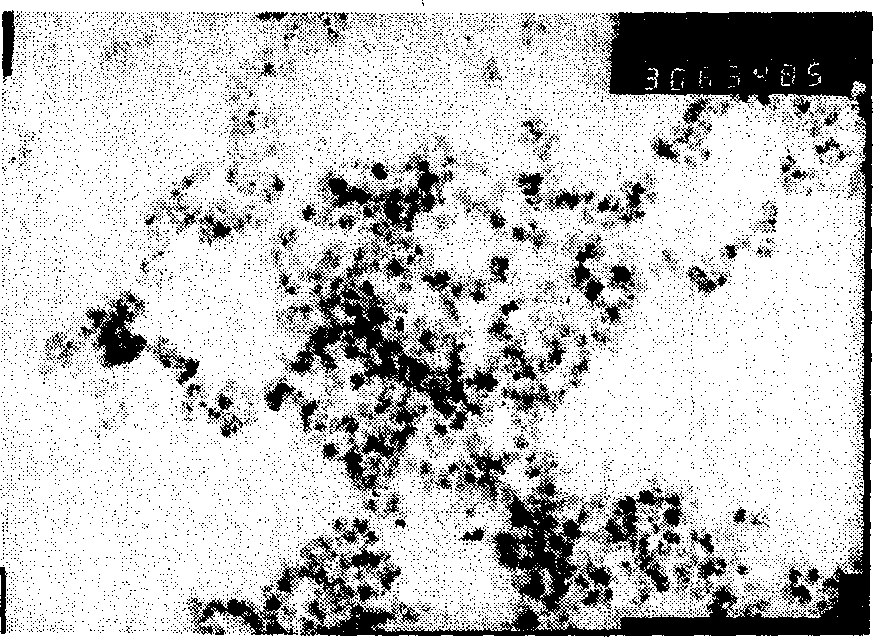 Preparation of nano aluminum oxide without hard coacervation