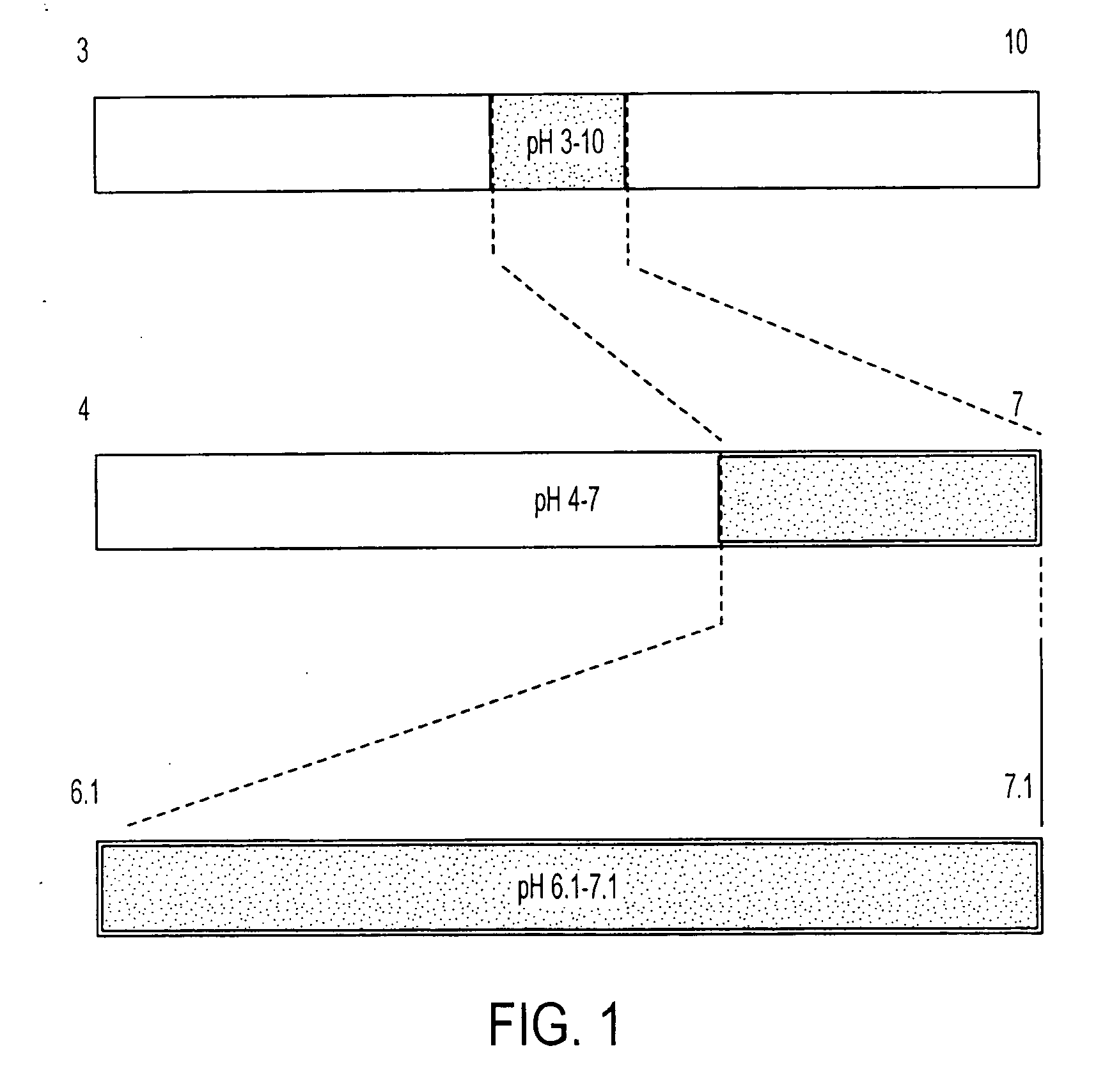 Isoelectric focusing gels and methods of use thereof