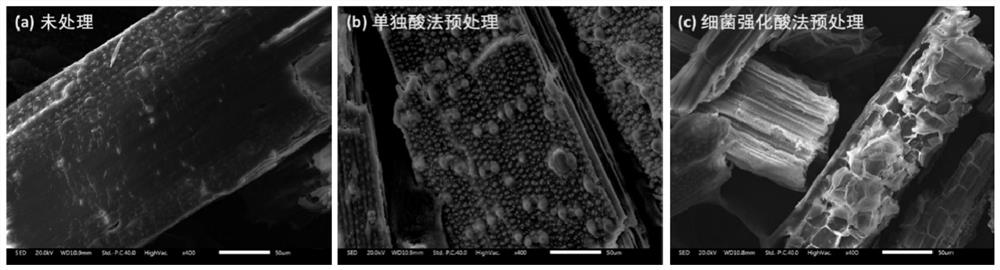 A method of using lignin-degrading bacteria to strengthen the acid pretreatment of waste biomass