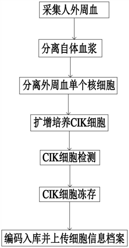 Construction method of CIK cell bank