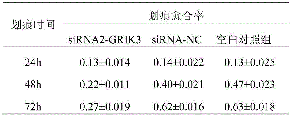 Molecular marker GRIK3 of rectal gland cancer