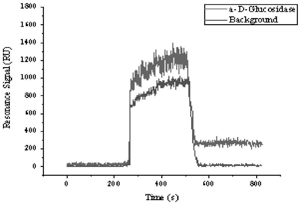 Method for quickly screening [alpha]-glucosidase inhibitor in quinoa bran