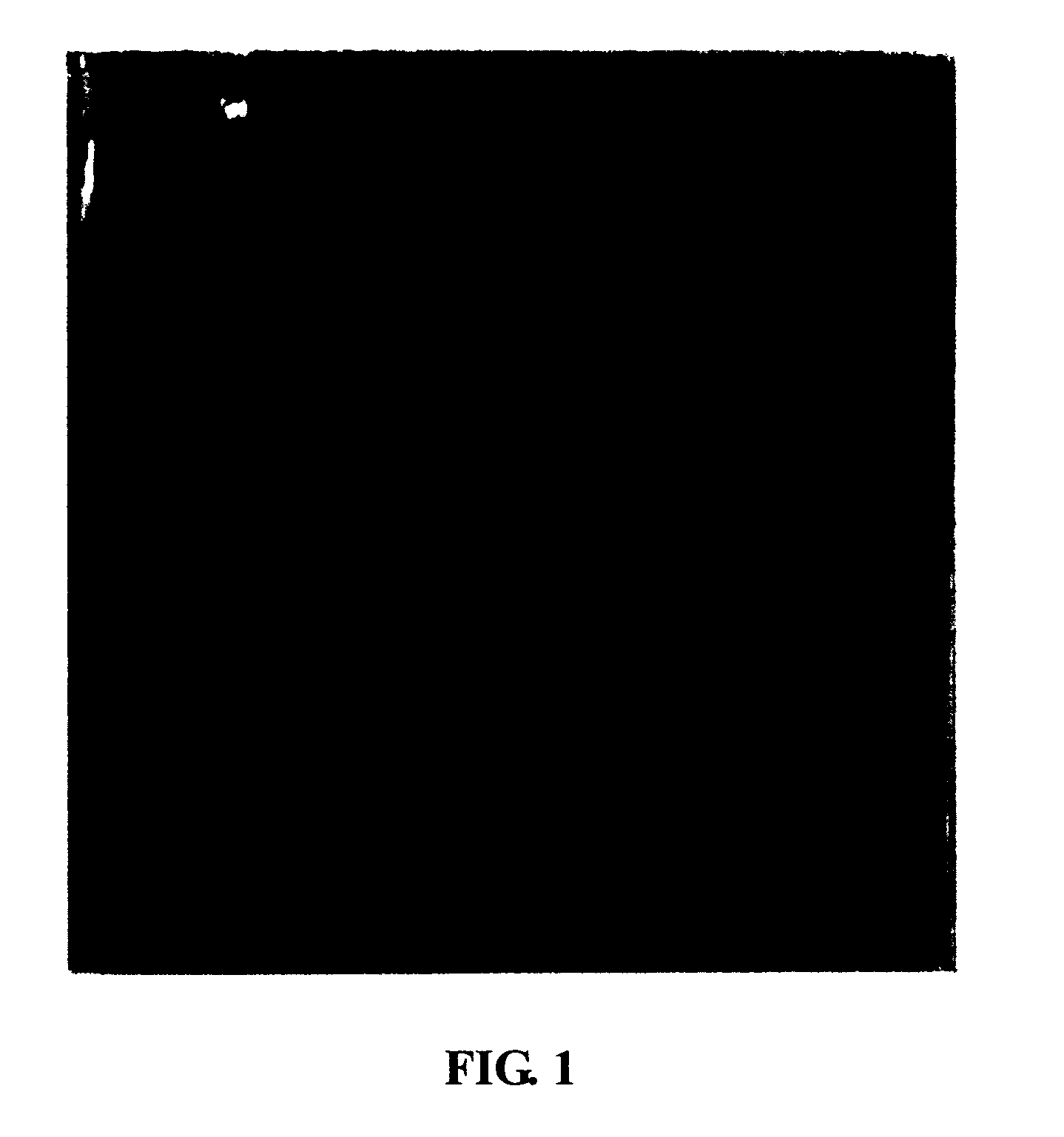 Medicament and method for treating recurrent spontaneous abortion