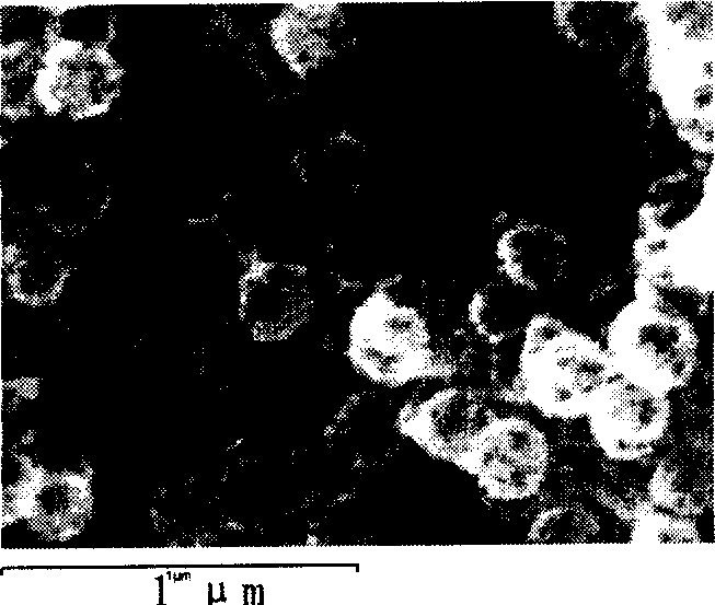 Process for preparing ferric oxide hollow particle using core-shell structured ferric oxide-organic composite particle
