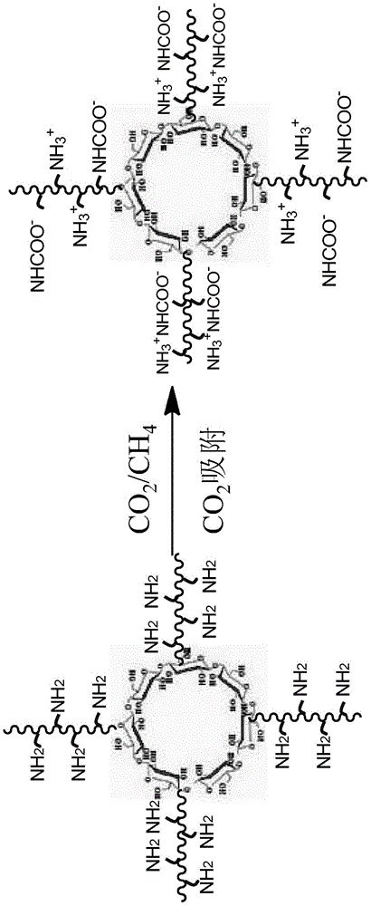 A kind of star-shaped carbon dioxide immobilization carrier and preparation method thereof and preparation method of separation membrane material