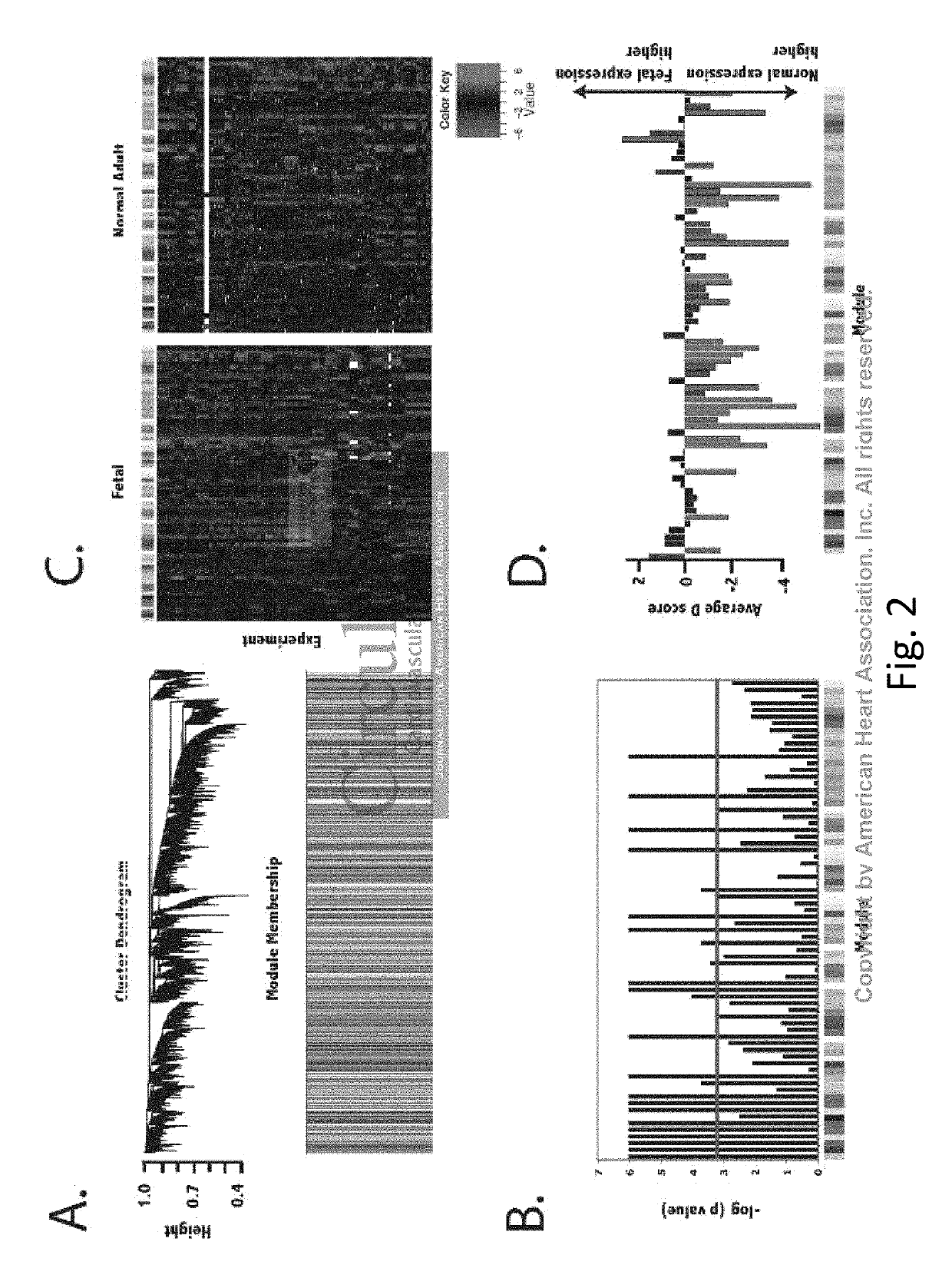 Method and system for network modeling to enlarge the search space of candidate genes for diseases