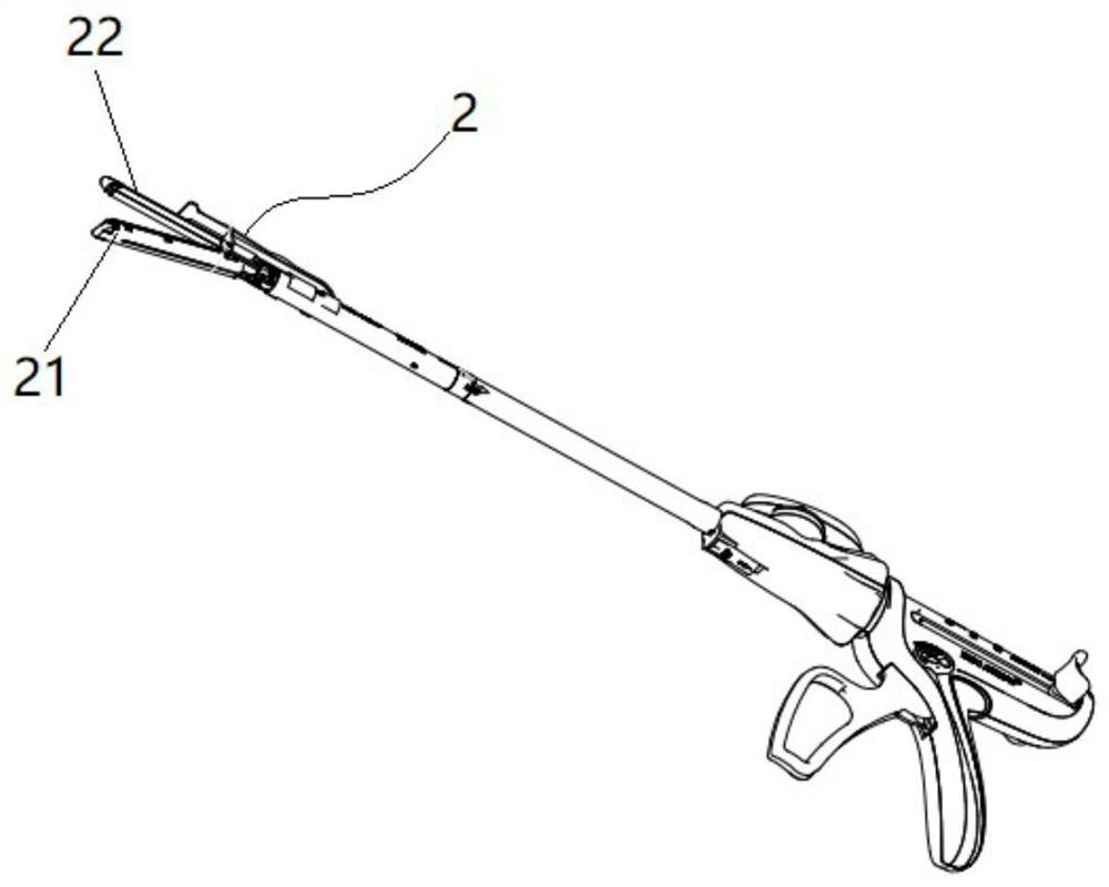 Biological patch and anastomosis device