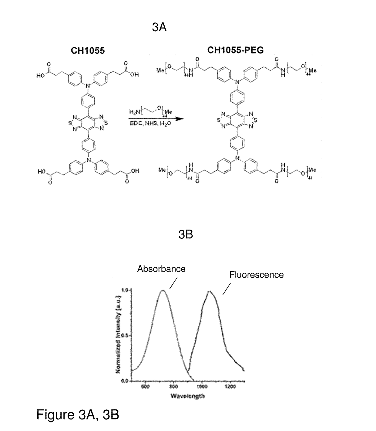 Small molecule dye for molecular imaging and photothermal therapy