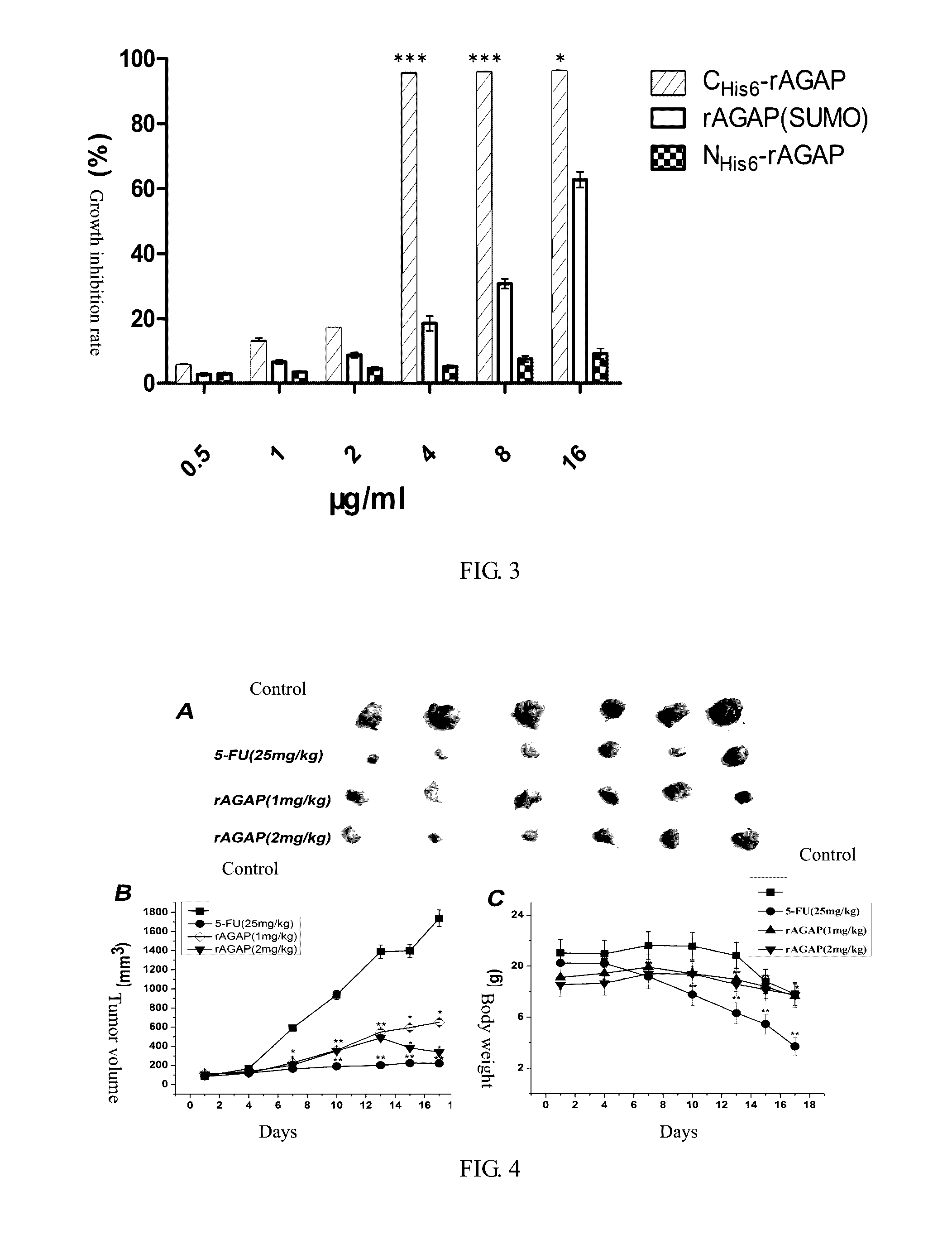 Method for purifying and renaturating inclusion bodies of scorpion toxin protein and their use