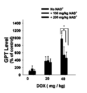Applications of nicotinamide adenine dinucleotide (NAD&lt;+&gt;) in preparation of medicine used for curing liver damages caused by chemotherapy drug doxorubicin hydrochloride