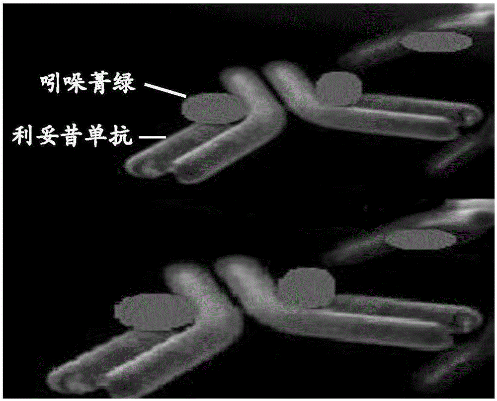 Preparation method of breast cancer sentinel lymph node tracer indocyanine green-rituximab