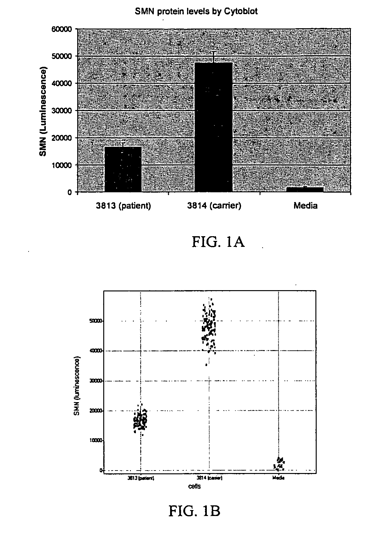 Compositions and methods for the treatment of neurodegenerative diseases