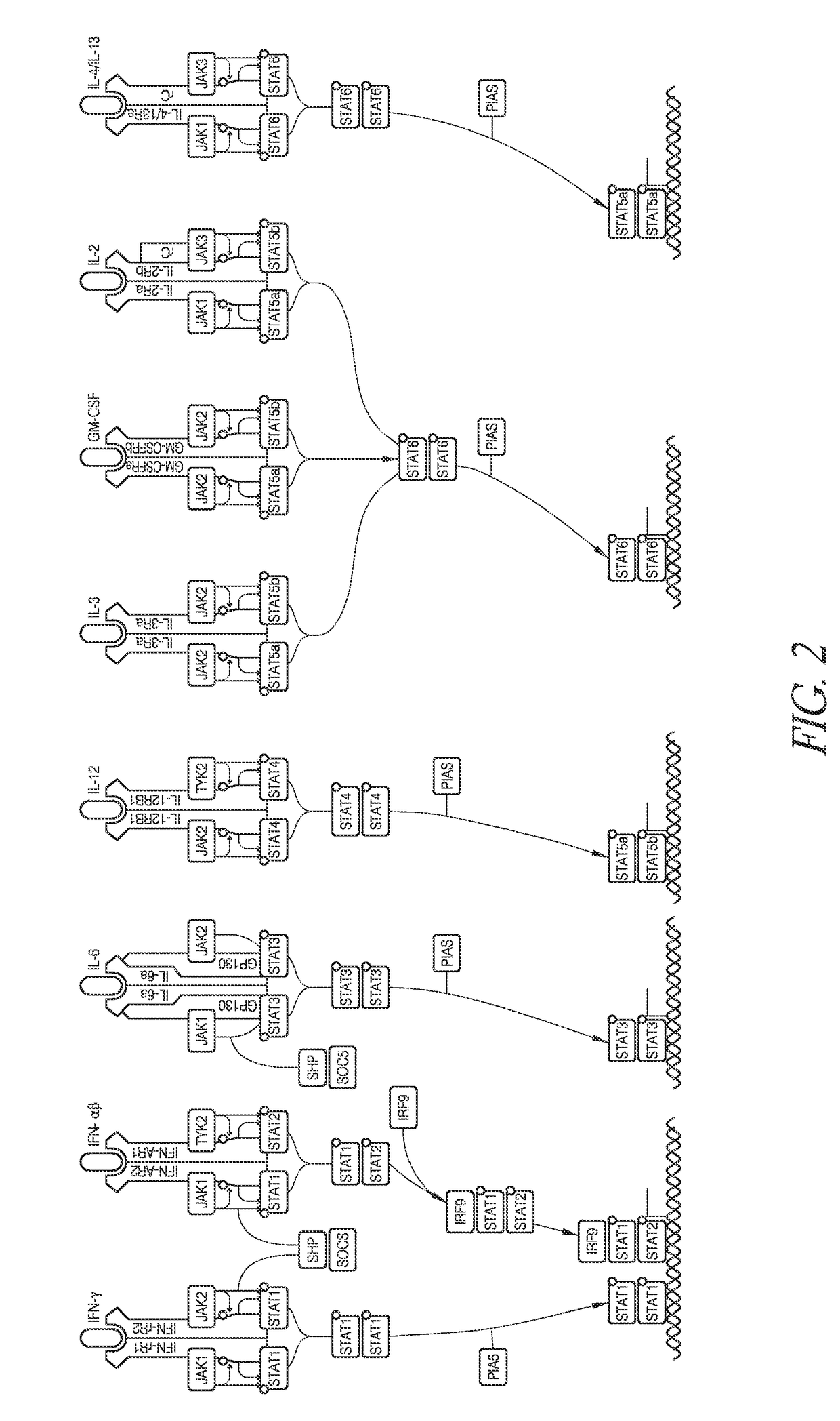 Methods of developing selective peptide antagonists