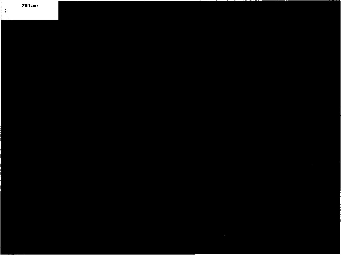 Preparation method for intermediate phase asphalt