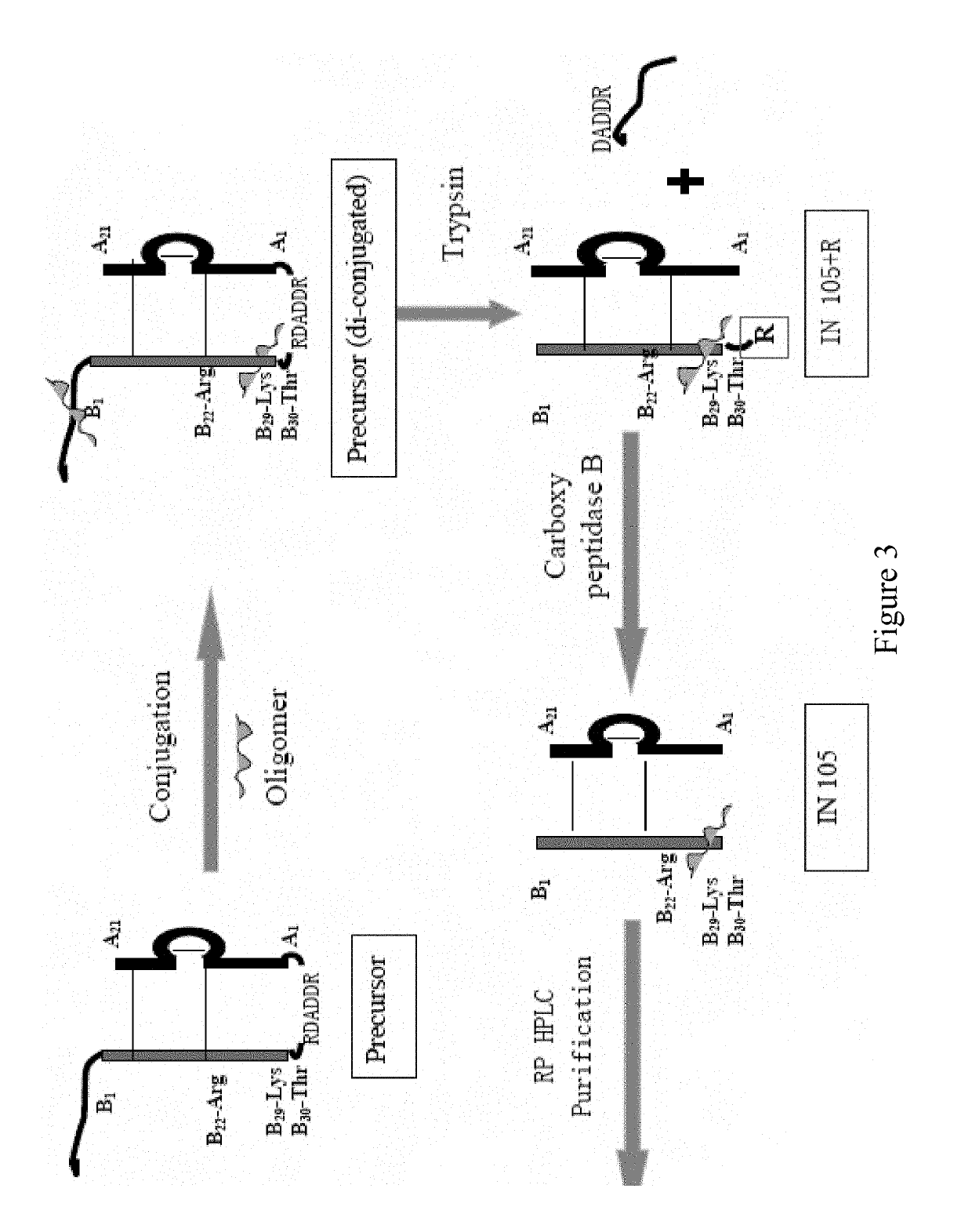 Bio-analytical method for insulin analogues