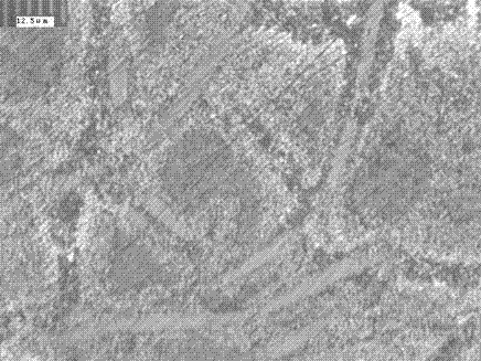 Preparation method of C/C-SIC ceramic composite material