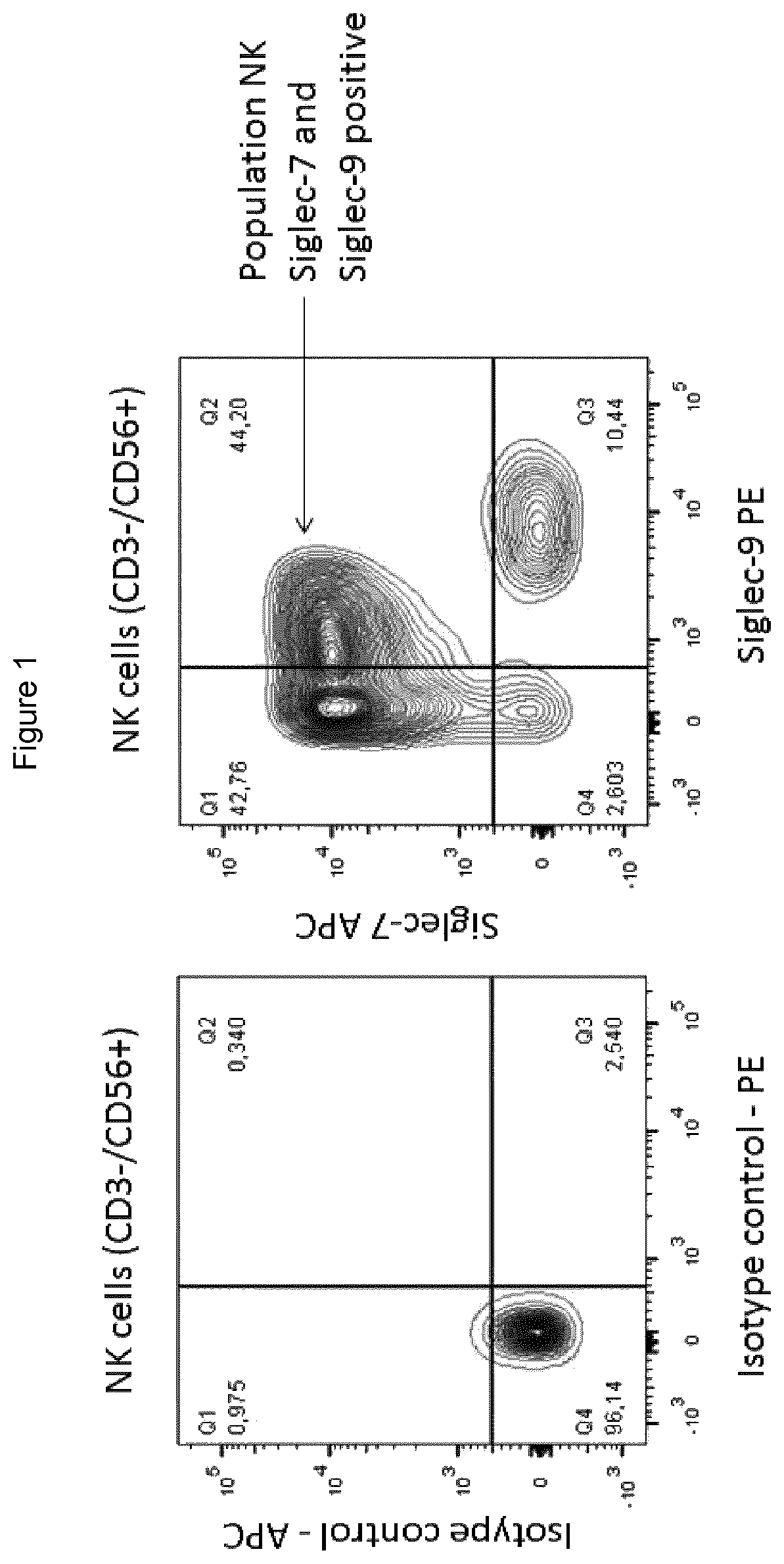 Combination therapy using antibody to human Siglec-9 and antibody to human NKG2A for treating cancer