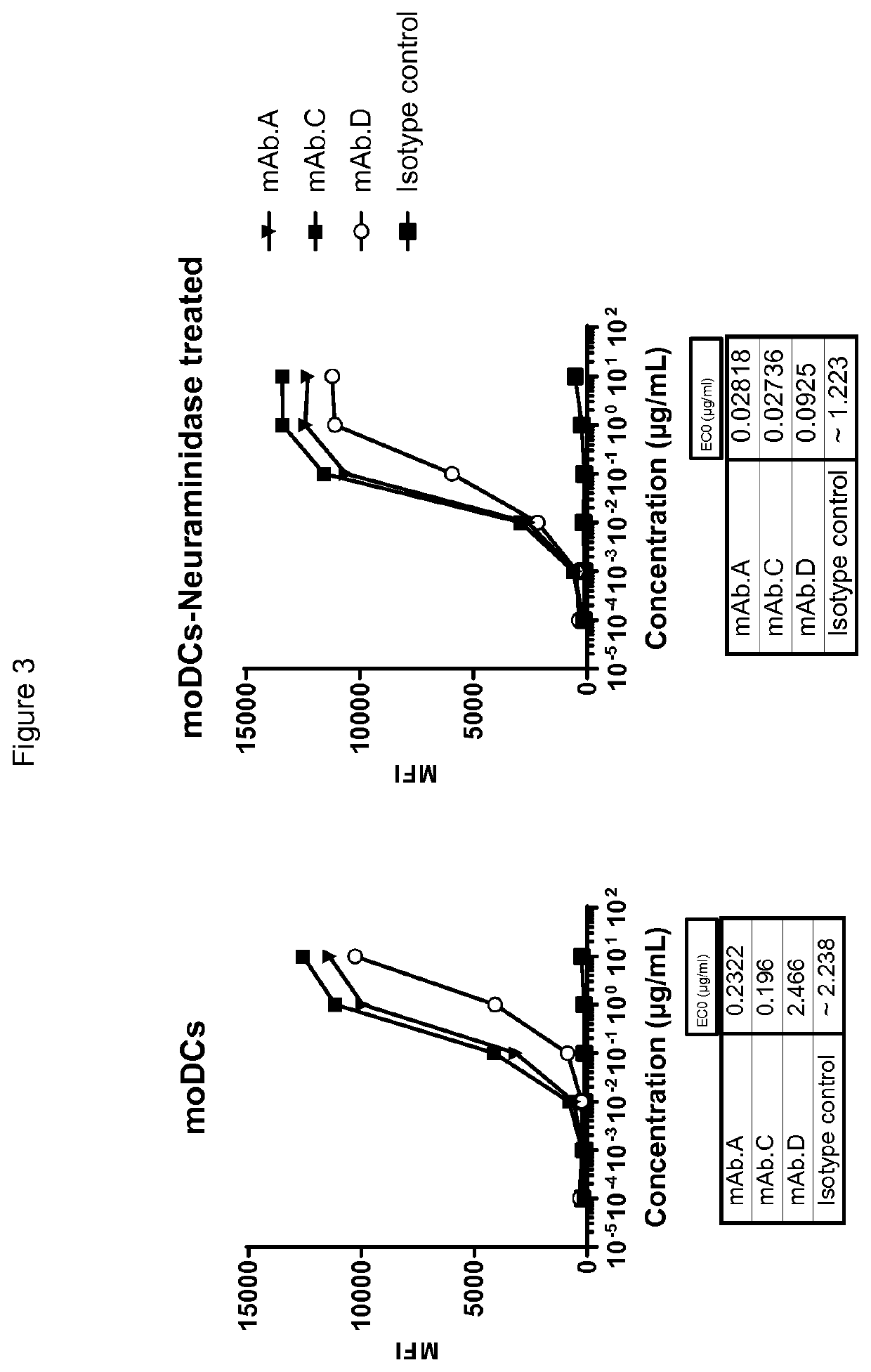 Combination therapy using antibody to human Siglec-9 and antibody to human NKG2A for treating cancer