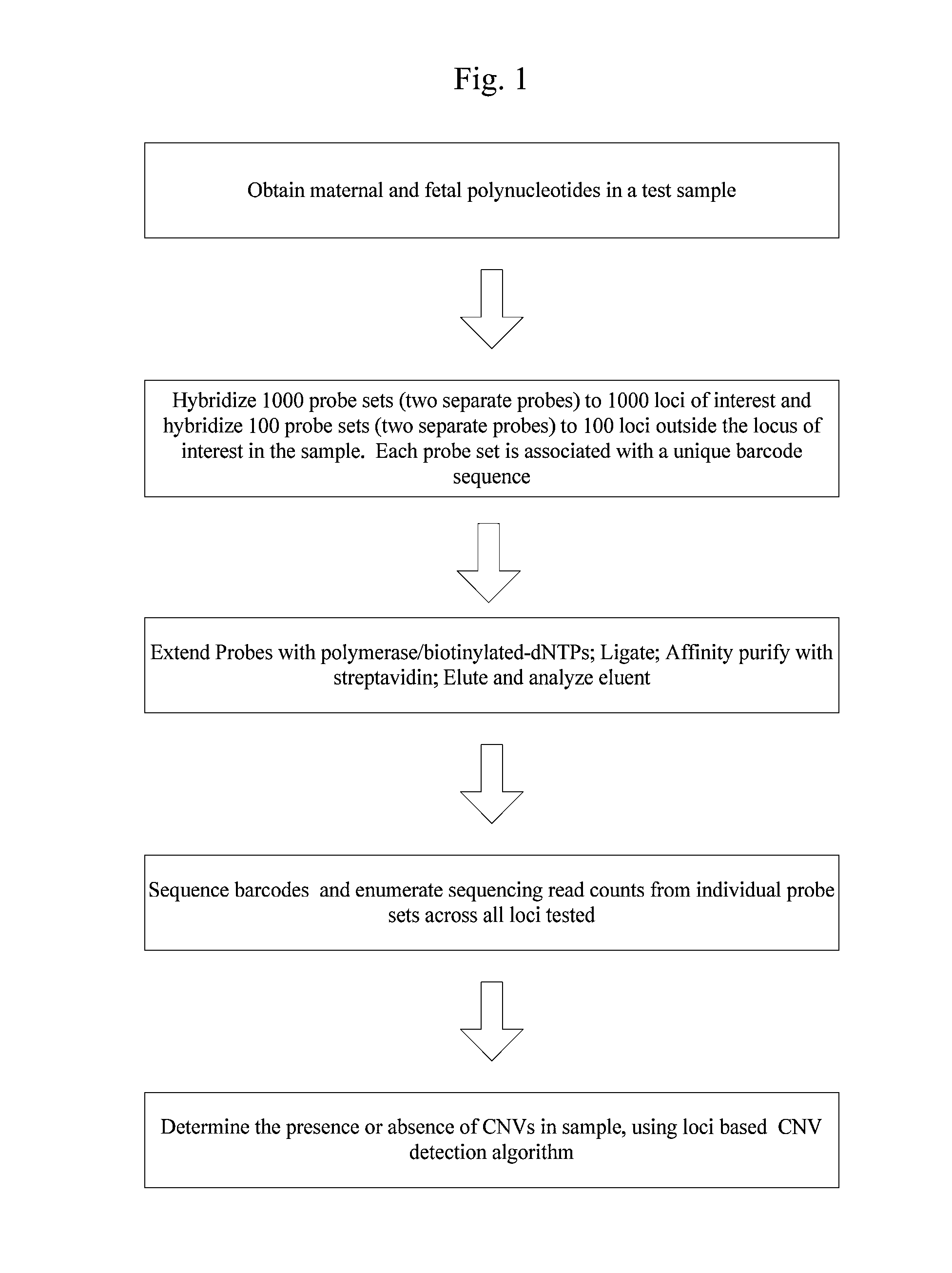 Systems and methods for prenatal genetic analysis