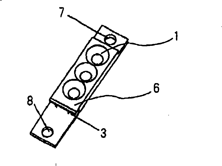 Light-emitting device with power supply structure