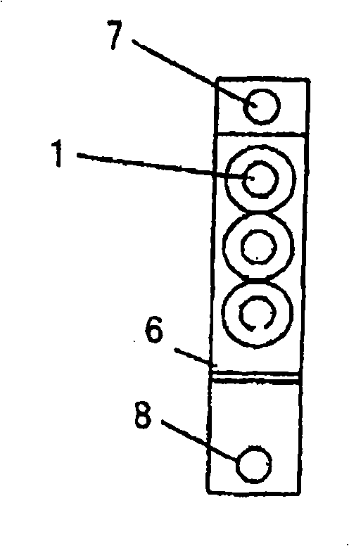 Light-emitting device with power supply structure