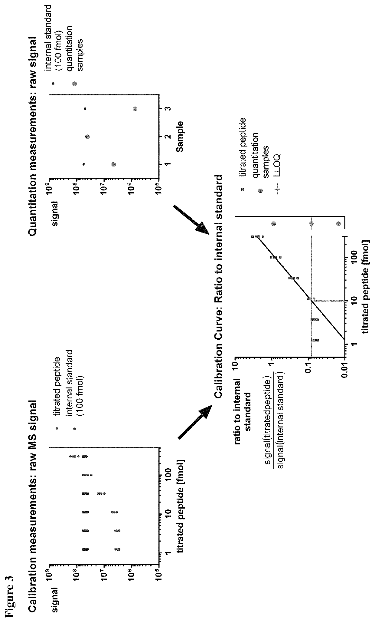 Method for the absolute quantification of naturally processed HLA-restricted cancer peptides