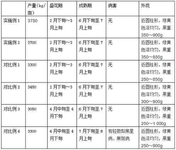 Method for steel structure grid shed type cultivation of pear trees