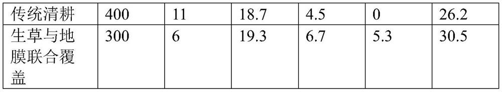 Pasture growing and mulching film combined covering method for soil moisture conservation and recarburization of apple orchard