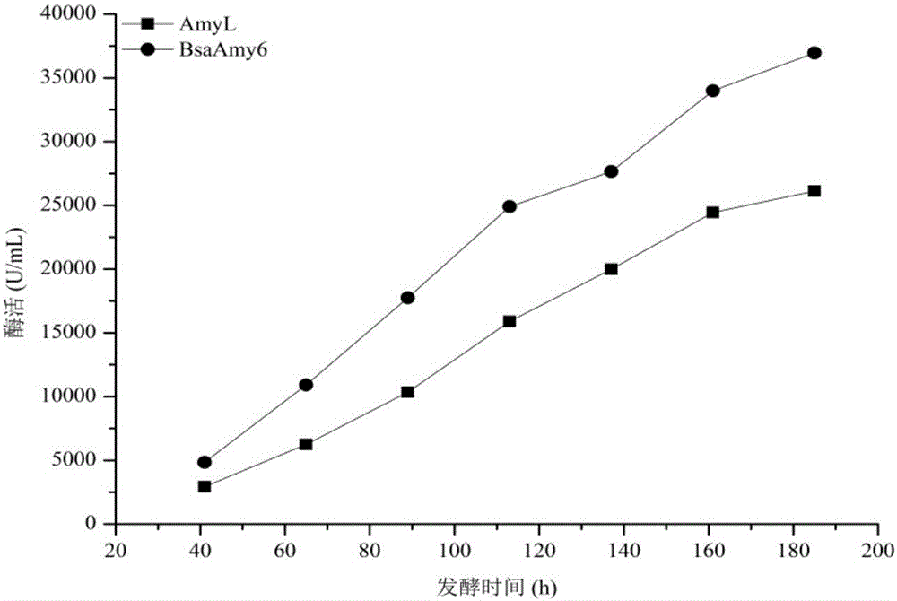 Alpha-AmyL (Amylase) mutant with increased activity and coding gene and application thereof