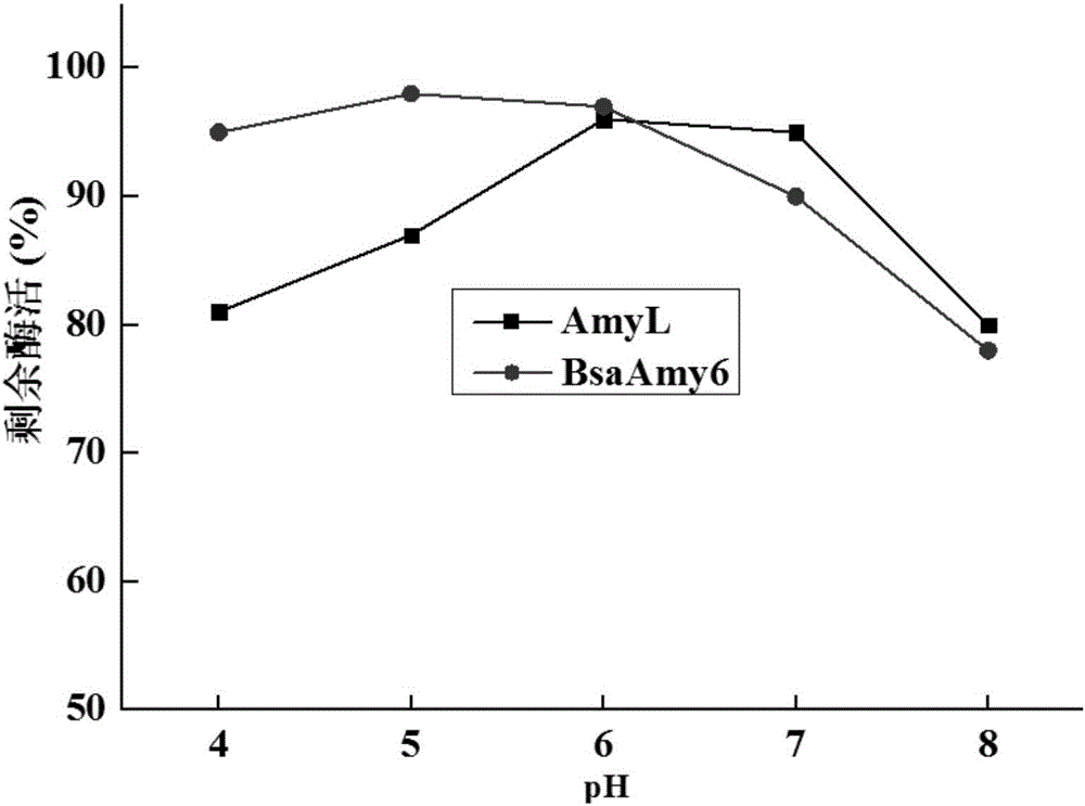 Alpha-AmyL (Amylase) mutant with increased activity and coding gene and application thereof