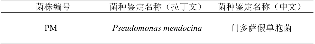 Microorganism strain for degrading petroleum hydrocarbon and combined repairing agent