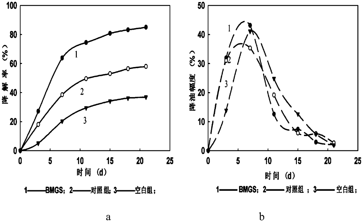 Microorganism strain for degrading petroleum hydrocarbon and combined repairing agent