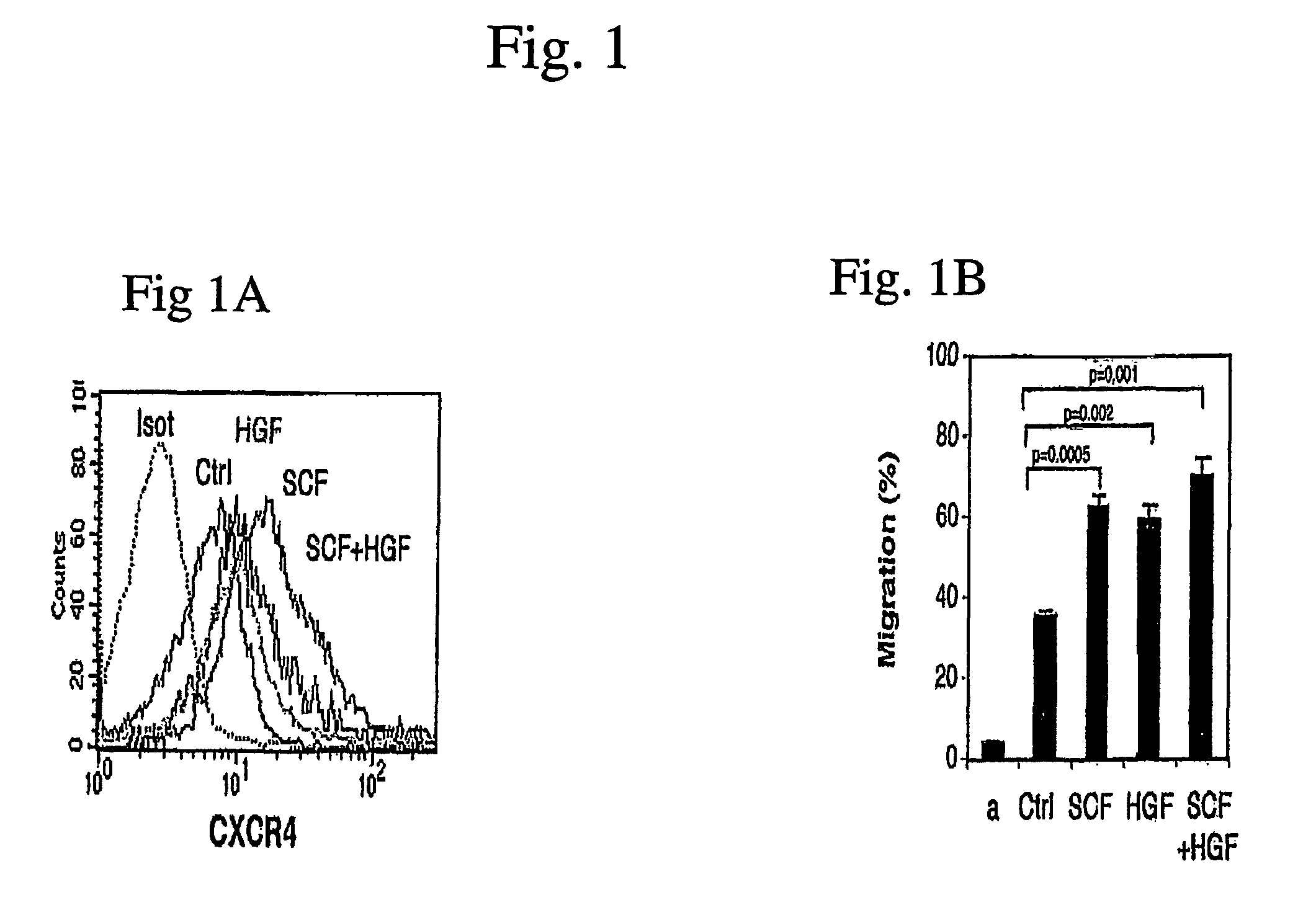 Stem cells having increased sensitivity to a chemoattractant and methods of generating and using same