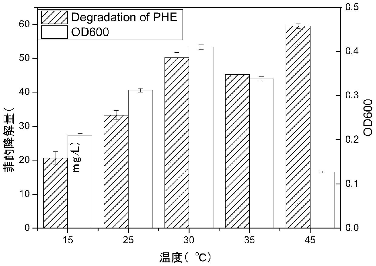 Strain for degrading phenanthrene and application thereof in soil remediation
