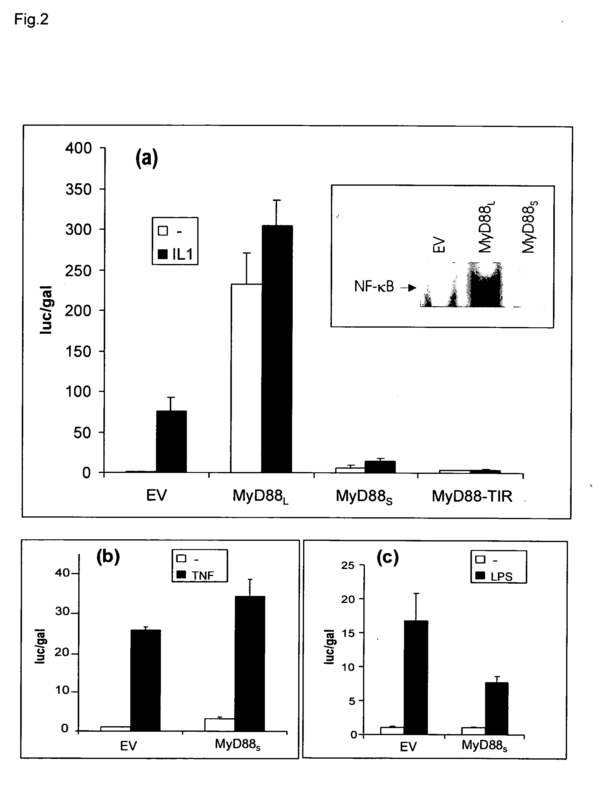 Novel splice variant of MyD88 and uses thereof