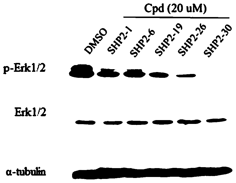 N-heterocyclic compounds, their intermediates, preparation methods, pharmaceutical compositions and applications