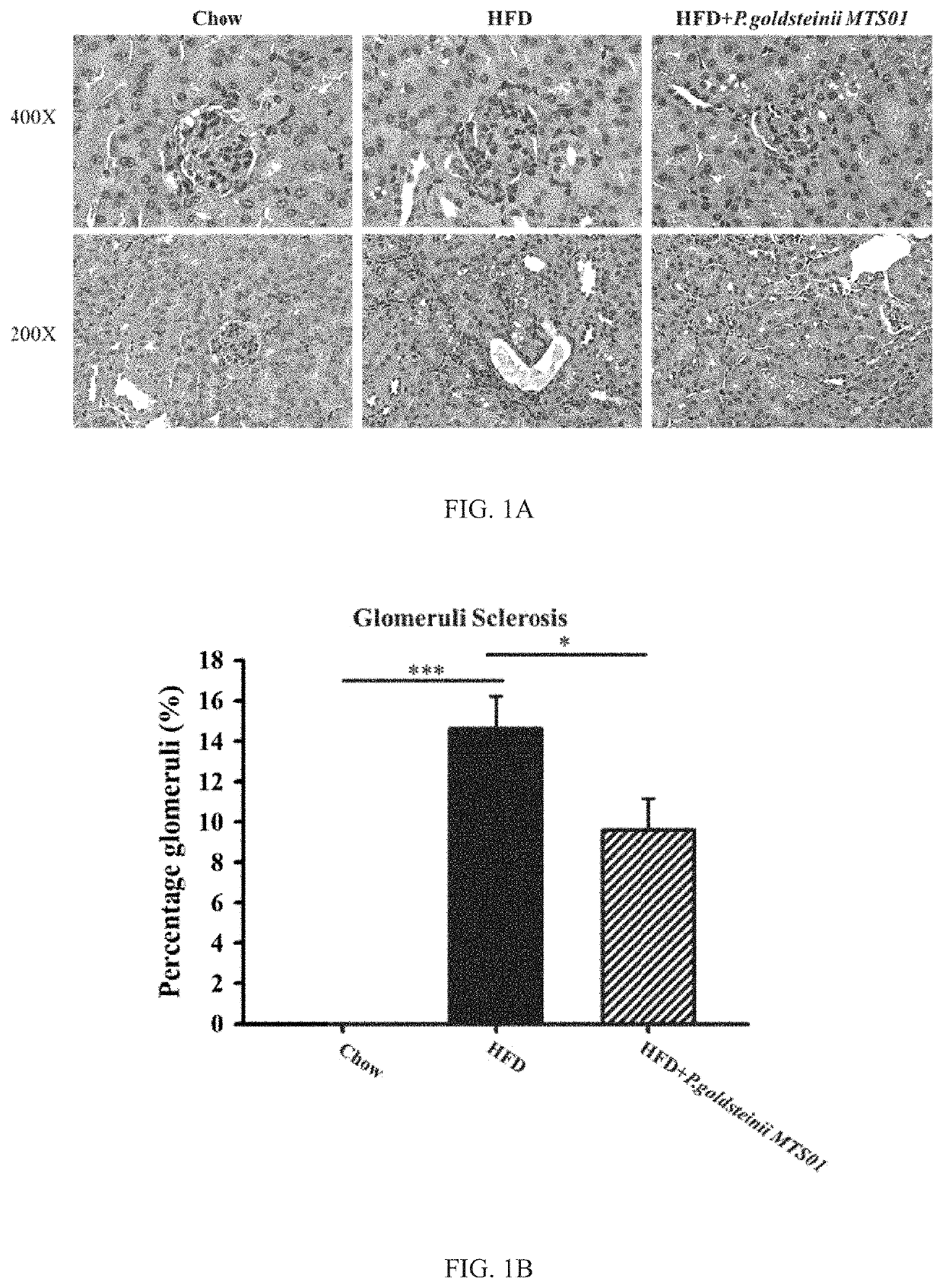 Method of ameliorating chronic kidney disease using <i>Parabacteroides goldsteinii</i>