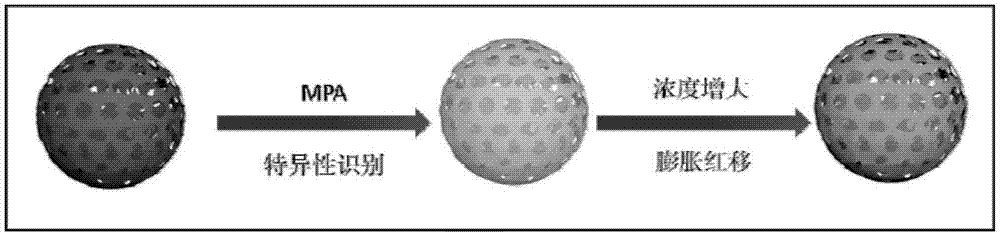 Photonic crystal hydrogel microsphere for rapidly detecting pesticides, toxins and nano-particles, and preparation method and application thereof