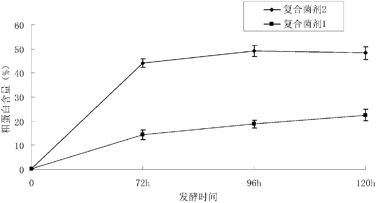 Trichoderma koningii, and compound microbial agent composition and application thereof
