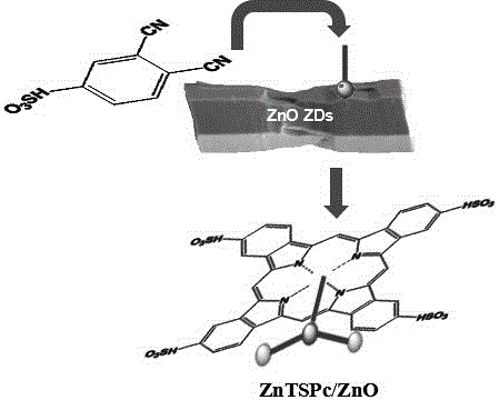 In-situ self-assembly preparation method of tetrasulfonated zinc phthalocyanine/zinc oxide compound membrane nano-material